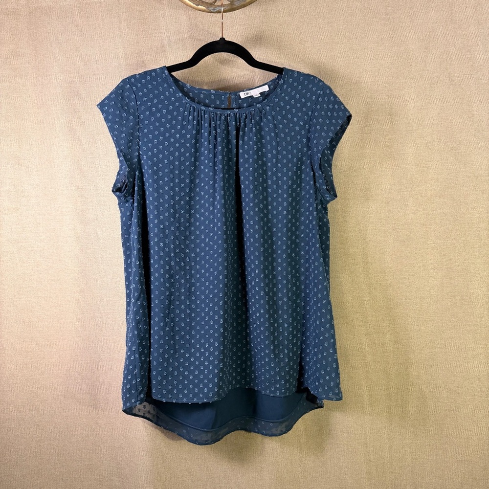 DR2 Sheer Blue Blouse – Size Medium | Textured Swiss Dot, Flowy Fit